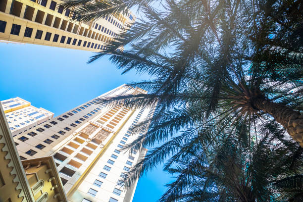 High-rise apartment buildings in Dubai viewed from below, framed by palm trees and clear blue sky.